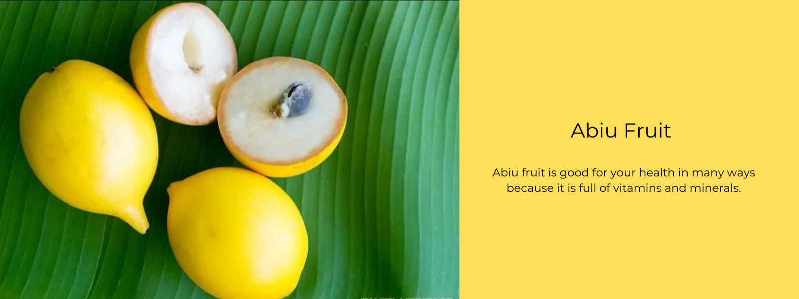 Abiu Fruit – Health Benefits, Uses and Important Facts