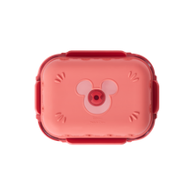 Disney Rectangle Glass Container with Air Tight Detachable Lid (set of 2)