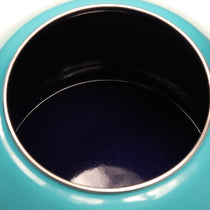 Circulon Enamel On Steel Whistling Tea Kettle 1.9 Liters, Turquoise