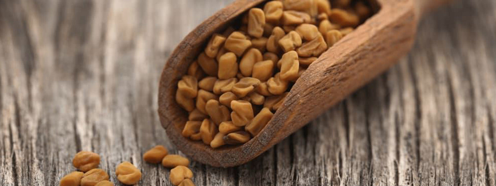 Fenugreek seeds- Health Benefits, Uses and Important Facts