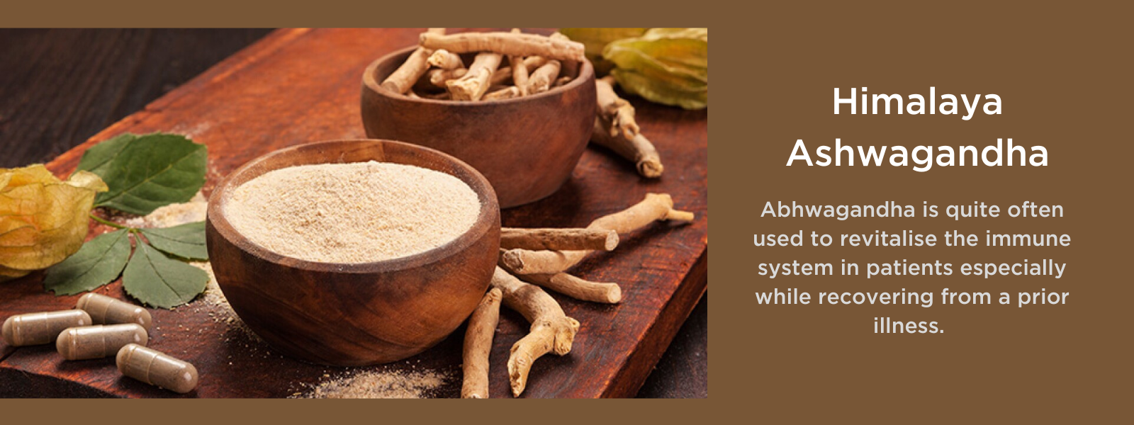 Himalaya Ashwagandha Health Benefits, Uses and Important Facts