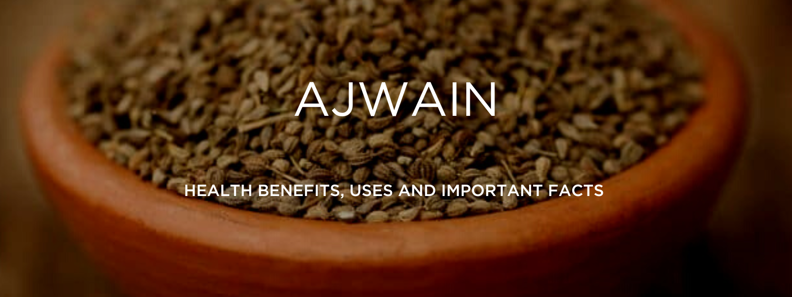 Ajwain Health Benefits, Uses and Important Facts PotsandPans India