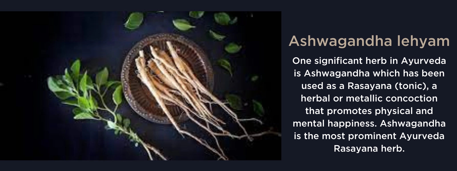 Ashwagandhadi lehyam Health Benefits, Uses and Important Facts