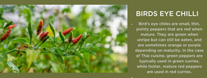 Birds eye chilli - Health Benefits, Uses and Important Facts