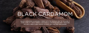 Black Cardamom- Health Benefits, Uses and Important Facts