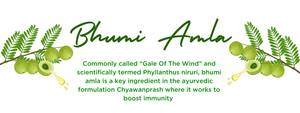 Bhumi amla - Health Benefits, Uses and Important Facts