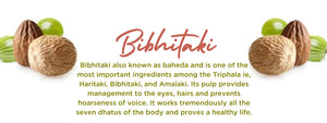 Bibhitaki - Health Benefits, Uses and Important Facts