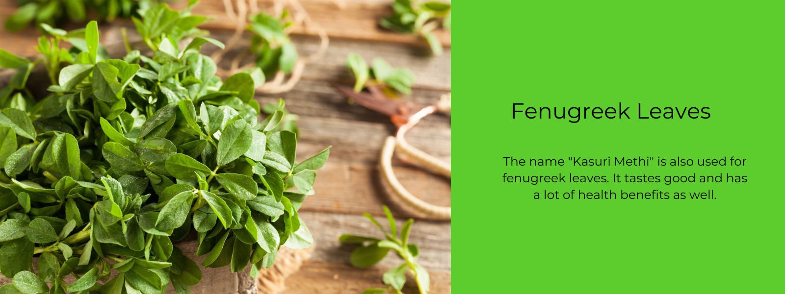 Fenugreek Leaves - Health Benefits, Uses and Important Facts
