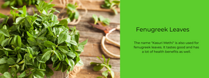 Fenugreek Leaves - Health Benefits, Uses and Important Facts