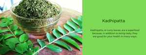 Kadhipatta - Health Benefits, Uses and Important Facts