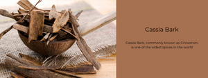 Cassia Bark - Health Benefits, Uses and Important Facts