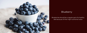 Blueberry - Health Benefits, Uses and Important Facts