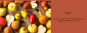 Pears - Health Benefits, Uses and Important Facts