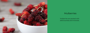Mulberries  - Health Benefits, Uses and Important Facts