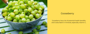 Gooseberry   - Health Benefits, Uses and Important Facts