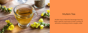 Mullein Tea - Health Benefits, Uses and Important Facts