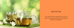 Senna Tea - Benefits, Uses & FAQs
