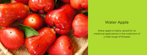 Water Apple - Health Benefits, Uses and Important Facts