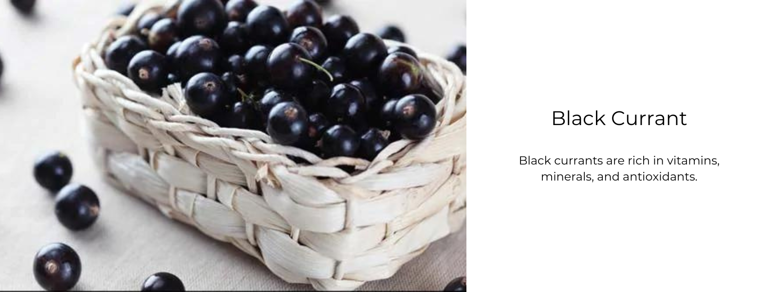 Black Currant - Health Benefits, Uses and Important Facts