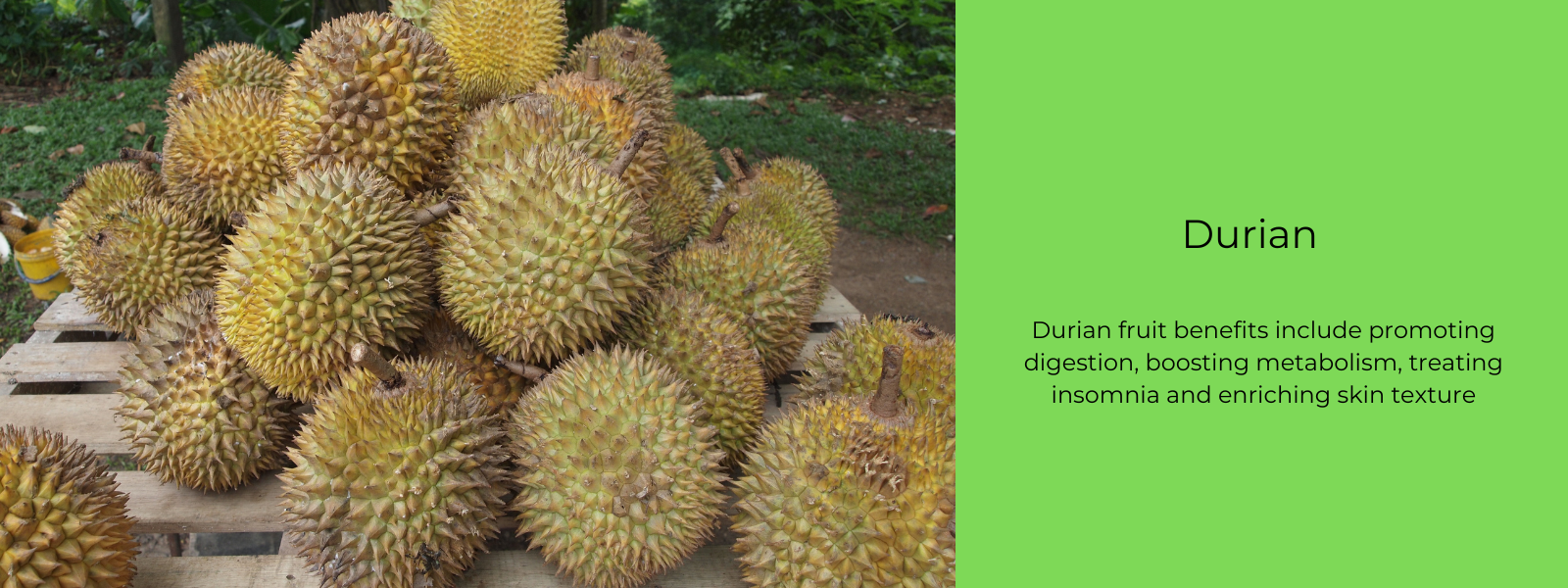 Durian - Health Benefits, Uses and Important Facts