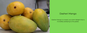 Dasheri Mango - Health Benefits, Uses and Important Facts