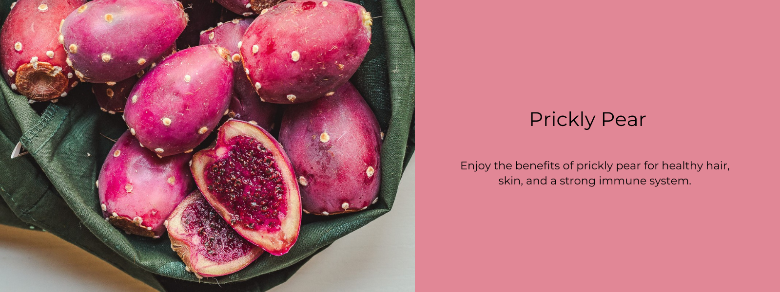 Prickly Pear Health Benefits Uses and Important Facts