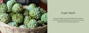 Sugar Apple - Health Benefits, Uses and Important Facts