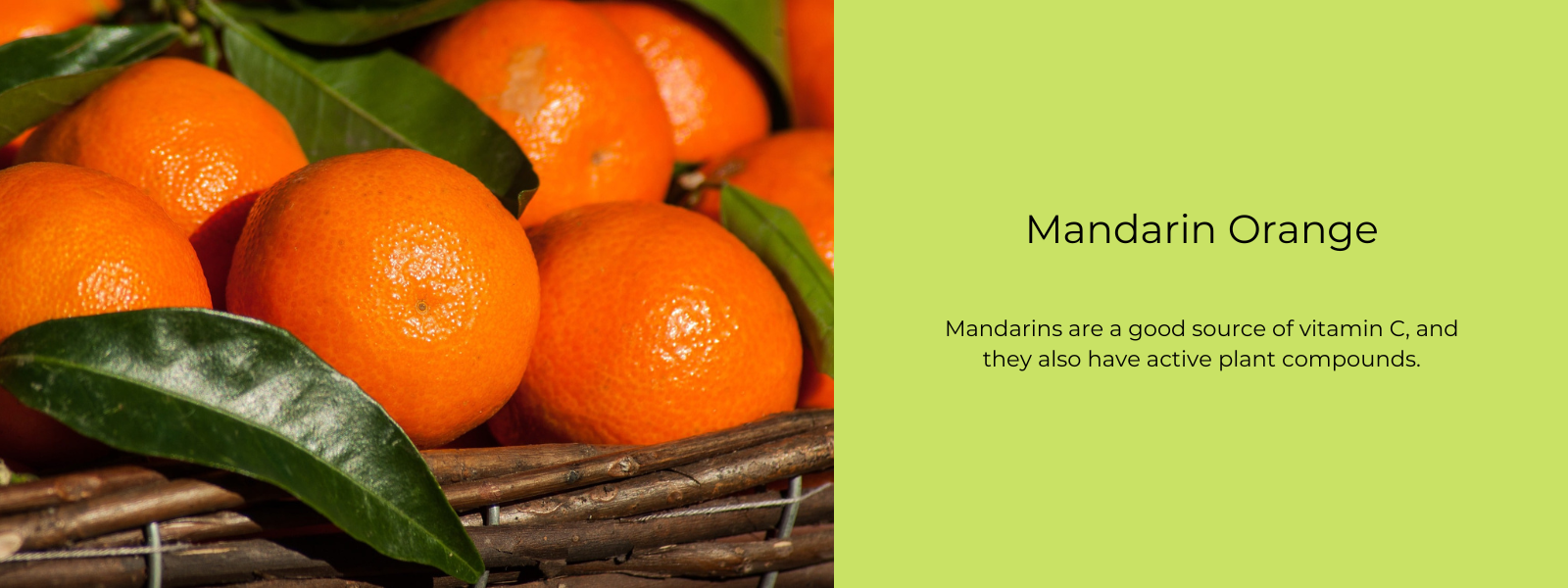 Mandarin Orange - Health Benefits, Uses and Important Facts