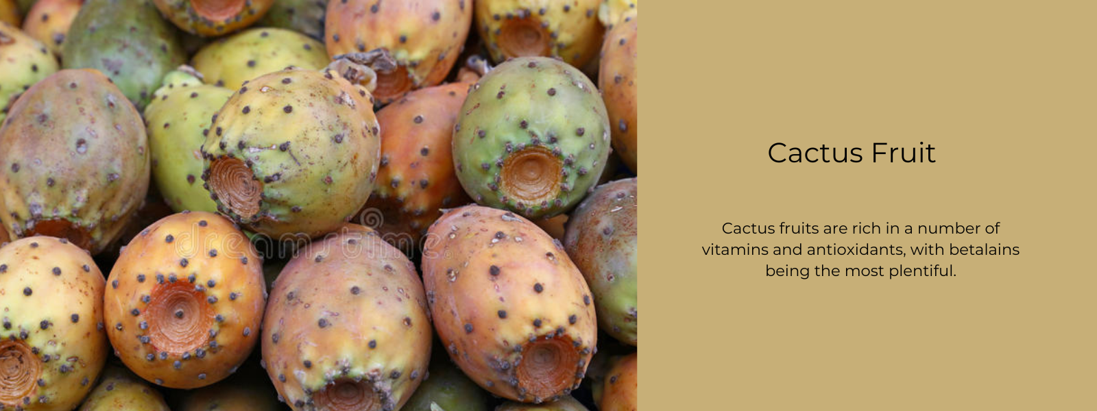 Cactus Fruit - Health Benefits, Uses and Important Facts