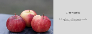Crab Apples - Health Benefits, Uses and Important Facts