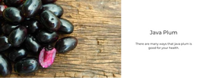 Java Plum - Health Benefits, Uses and Important Facts