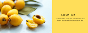 Loquat Fruit - Health Benefits, Uses and Important Facts