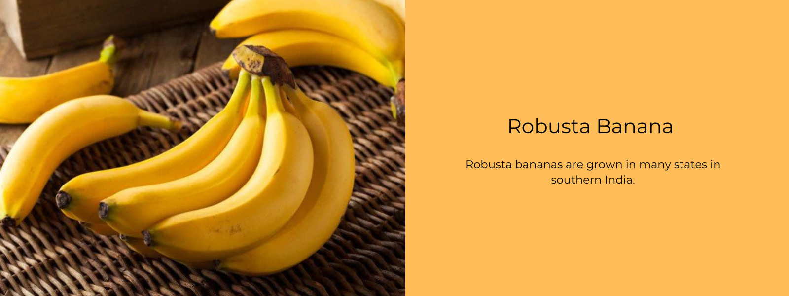 Robusta Banana - Health Benefits, Uses and Important Facts