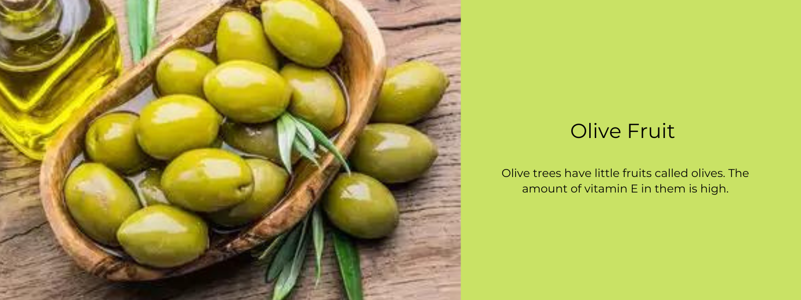 Olive Fruit – Health Benefits, Uses and Important Facts - PotsandPans India