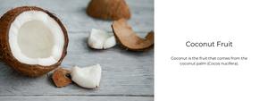 Coconut Fruit – Health Benefits, Uses and Important Facts