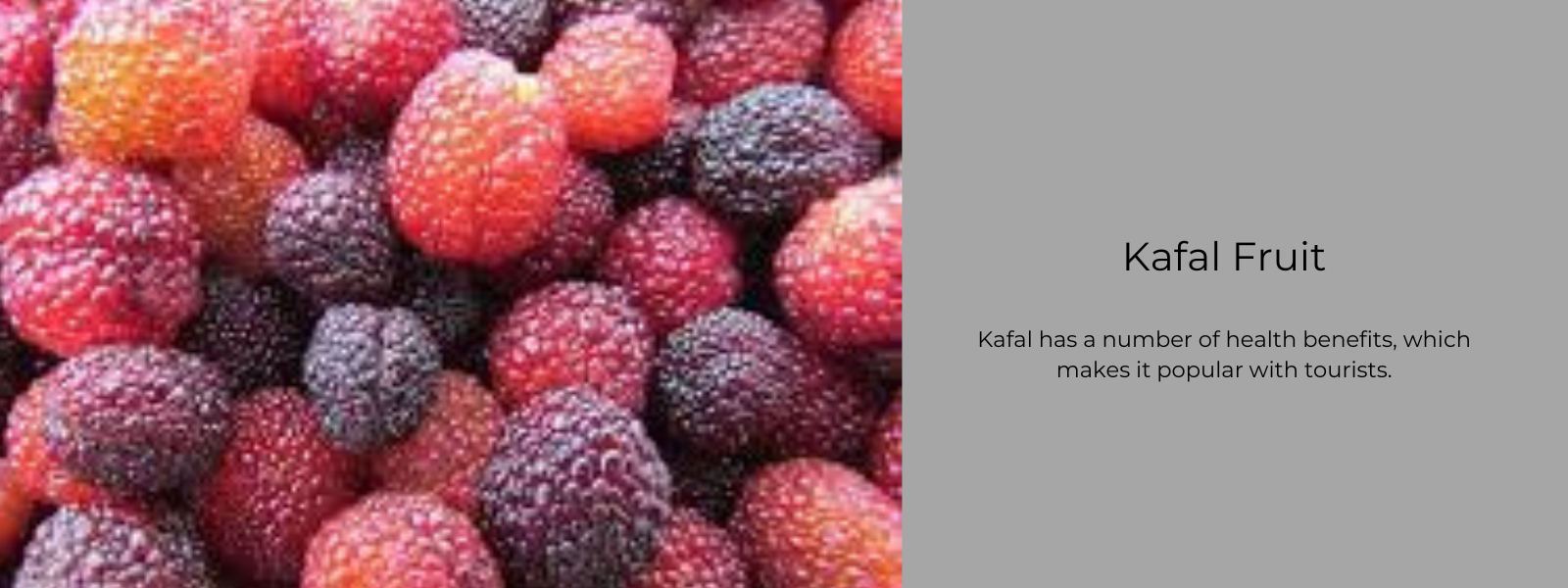 Kafal Fruit – Health Benefits, Uses and Important Facts