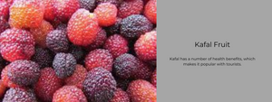 Kafal Fruit – Health Benefits, Uses and Important Facts