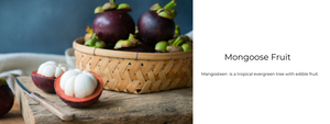 Mongoose Fruit - Health Benefits, Uses and Important Facts