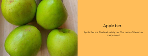 Apple ber - Health Benefits, Uses and Important Facts