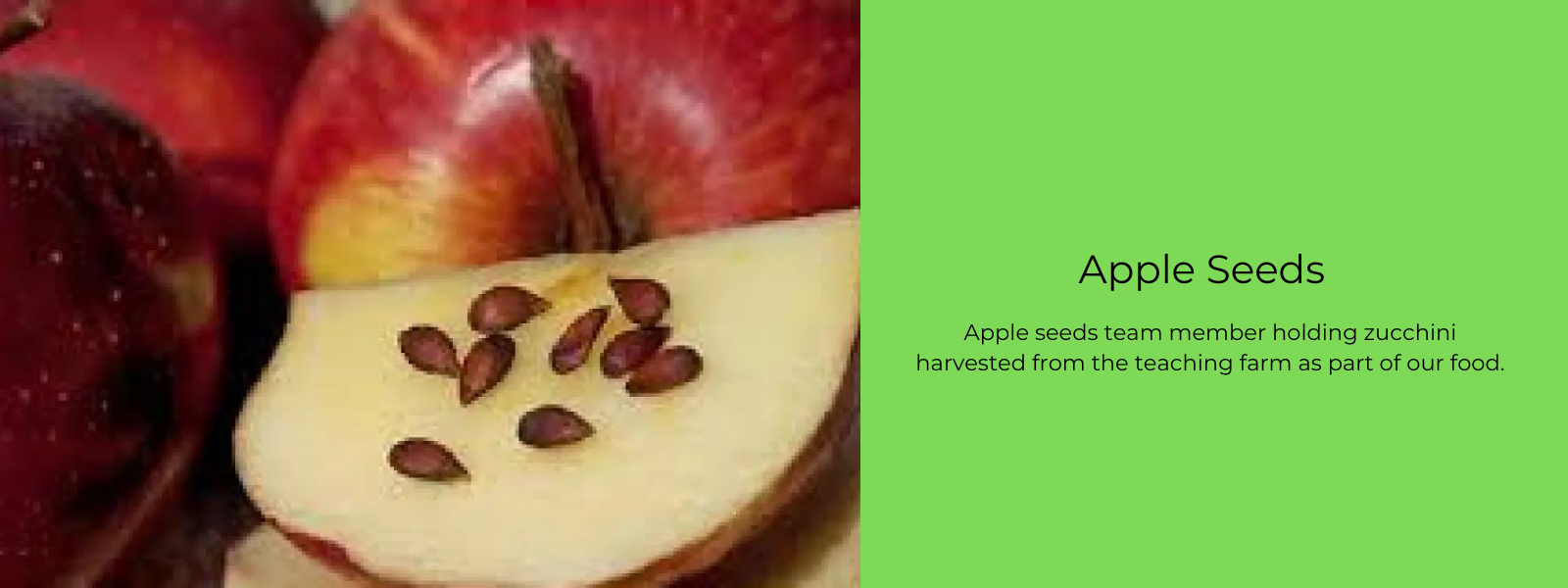 Apple Seeds: Can you eat them?