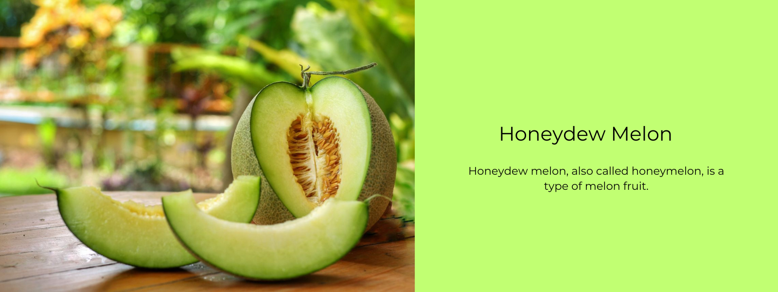 Orange-Fleshed Honeydew Melon Information and Facts