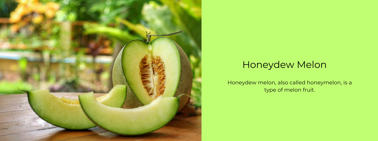 Honeydew Melon – Health Benefits, Uses and Important Facts