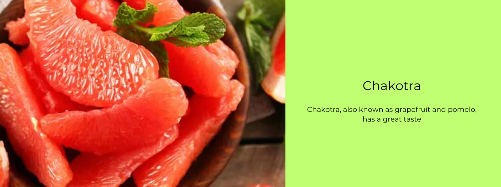 Chakotra – Health Benefits, Uses and Important Facts