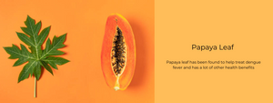 Papaya Leaf – Health Benefits, Uses and Important Facts