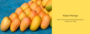 Kesar Mango – Health Benefits, Uses and Important Facts
