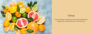 Citrus – Health Benefits, Uses and Important Facts