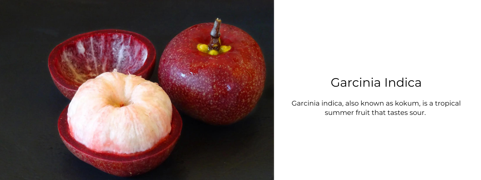 Garcinia indica deals
