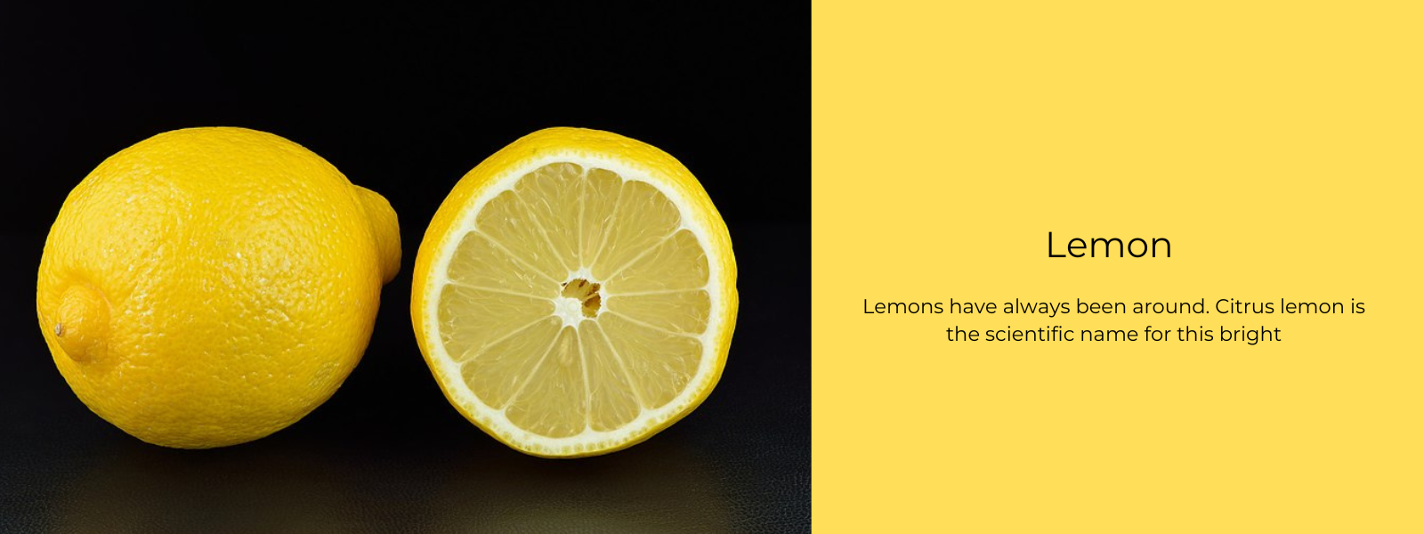 Lemon – Health Benefits, Uses and Important Facts