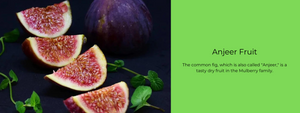 Anjeer Fruit – Health Benefits, Uses and Important Facts