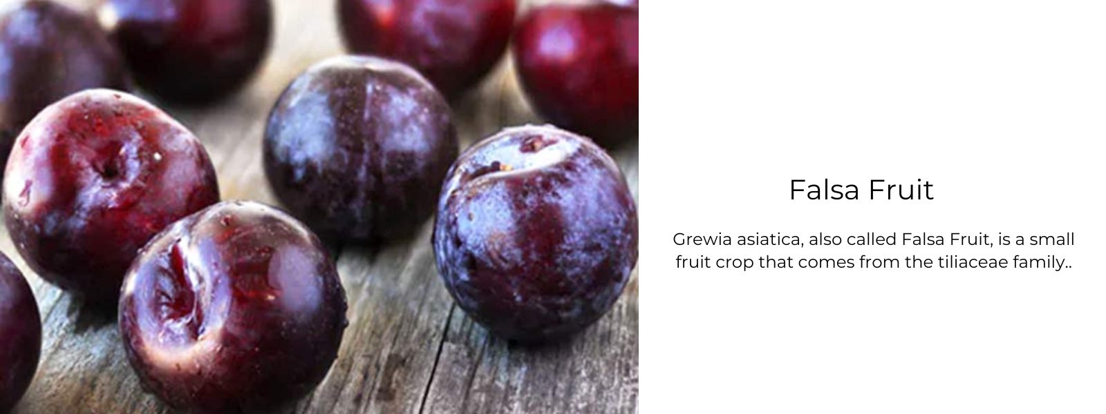 Feha Falsa Falsa Fruit – Health Benefits, Uses and Important Facts - PotsandPans India
